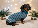 Christmas striped jumper for dachshund or small dog with wooden buttons