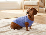 100% handmade sweater for small dog