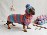 Set sweater and hat for dogs, sweater and hat for dachshunds, clothes for dogs, clothes for dachshunds