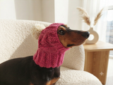 Dog hat with pom poms wool, warm hat for dachshund, wool hat for small dogs