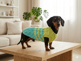 Size L Blue and yellow sweater knitted with aran for mini dachshund or small dog