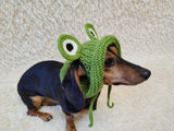 Frog Dog Bucket Hat, summer panama cap with open ears dachshund, pet clothes photo shoot gift dog's mom