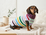 Handmade Knit Dachshund Sweater - Colorful Striped Dog Clothes
