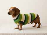 Dachshund clothes striped sweater