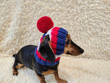 Multi-Color Striped Dog Snood: Hand-Knit Pom-Pom Beanie for Dachshunds