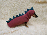 Knitted Dinosaur Dog Costume – Warm Dino Sweater with Matching Hat
