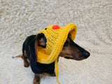 Duck Summer sun hat dogs with holes for ears. Hand knitted sun cap dachshund. Stylish Pet Photo Props and Gift Dog Moms