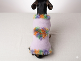 Valentine's day dog clothes with heart, dog jumper with rainbow heart