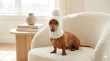Winter Knitted Hat for Dachshund with Open Ears,Dog Hat for Photoshoot
