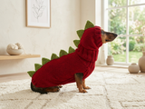 Dinosaur Dog Sweater and Hat Set – Handmade Knitted Pet Costume