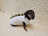 Knitted Dinosaur Costume for Dogs - Custom Dachshund Sweater