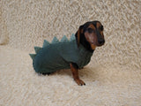 Cozy Dinosaur Dog Jumper – Unique Pet Gift for Small Dogs