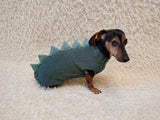 Cozy Dinosaur Dog Jumper – Unique Pet Gift for Small Dogs