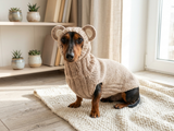 Bear costume made of alpaca wool for dogs, dachshund bear set sweater and hat