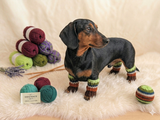 Leggings for dog cat set 4 pieces, leggings for dog,dog gaiters