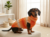 Knitted Melange Wool Pet Jumper Dog Clothes Sweater With Braid, jumper for small dogs, clothes sweater for dogs