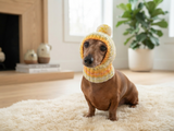 Warm winter hat with pompom for small dog