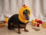 Easter chicken snood hat for dog
