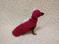 Dachshund Halloween Dinosaur Outfit Costume Sweater and Hat