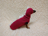 Dachshund Halloween Dinosaur Outfit Costume Sweater and Hat