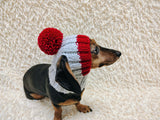 Hat for dog with pompom and holes for the ears