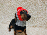 Dog hat pom-poms, warm winter clothes for pets, cap cloches ears dachshunds outfit apparel, pet lover gift