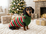 Christmas Striped Dog Sweater With Pom Poms-green red white stripe christmas clothes for pets