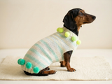Christmas sweater with pom-poms for mini dachshund or small dog
