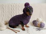 Alpaca wool costume with classic arana sweater and hat for dachshund or small dog, winter set sweater and hat for dogs