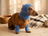 Leggings and hat set for dogs from mohair, leggings and hat for dachshund, warm head and paws for dogs, Dog Legwarmer