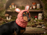 Rabbit snood hat for dog hare