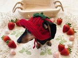 Strawberry Panama Dog Hat Summer Open Ear Hat for Dachshund Pet Clothes Photo Shoot Gift for Dog Mom