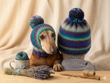 Mistress and dog set of knitted hats with pompom, women's hat and hat for dog