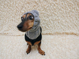 Dog hat with pom poms wool, warm hat for dachshund, wool hat for small dogs