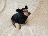 Bat Dog Costume, Knitted Puppy Halloween Outfit, Cute Vampire Bat Hoodie with Wings and Ears, Small Dog and Dachshund Apparel