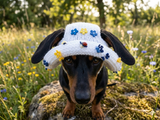 Summer hat for a dog with flowers, summer hat with flowers for a dachshund or small dog