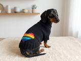 Clothes for a dachshund or small dog knitted winter wool warm jumper with a pattern