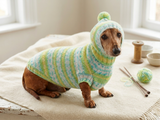 Clothing for dachshund or small dog with sweater with hoodie