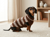Striped winter wool jumper with collar,dachshund winter sweater with aran and collar