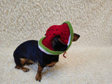 Watermelon Dog Bucket Hat, summer panama cap with open ears dachshund, pet clothes photo shoot gift dog's mom
