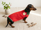 Strawberry sweater for small dogs, strawberry knitted dog jumper, strawberry small dog clothes