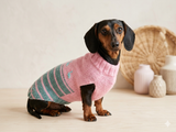 Bright Dinosaur Sweater for Prey Animals, Jumper Clothes for Dogs with Dinosaurs, Animal Jumper for Photo Shoots