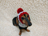 Hat for dog with pompom and holes for the ears