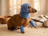 Leggings and hat set for dogs from mohair, leggings and hat for dachshund, warm head and paws for dogs, Dog Legwarmer