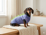 Dinosaur sweater for dachshund or small dog,Dinosaur sweater for small dog, clothes for dog dinosaur, knitted dinosaur sweater.