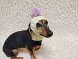 Hat winter pet wool with one pompom,clothes warm hat for dog