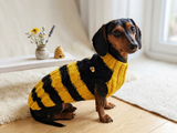 Bee knitted jumper for pets, bee sweater for dog, dachshund bee dog sweater
