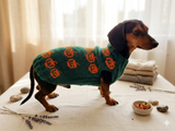 Dog costumes pumpkin sweater, dog costumes for halloween, pumpkin halloween costumes for pets, puppies, cat and dog sweater for halloween