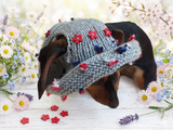 Summer hat for dog with flowers, summer hat with flowers for a dachshund or small dog