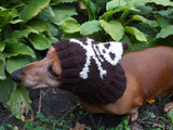 Halloween hat for dog with skull and cross bones
